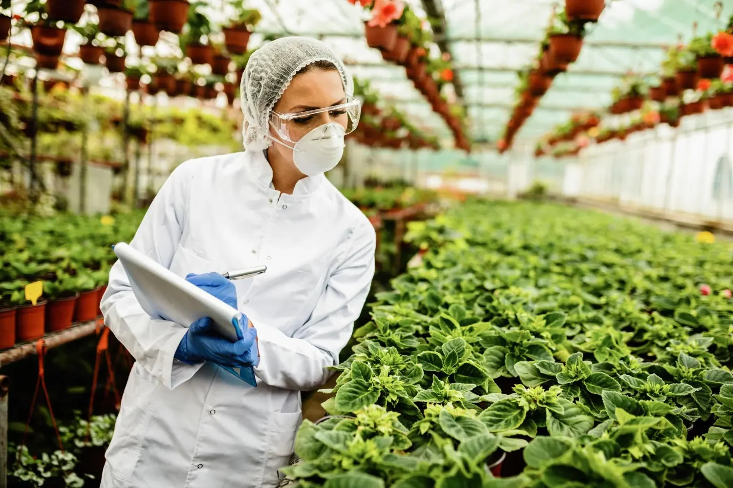 Curso en Food Security Analysis