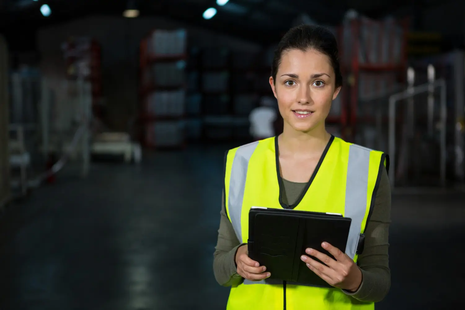 Curso en Auditoría Interna de Procesos Logísticos